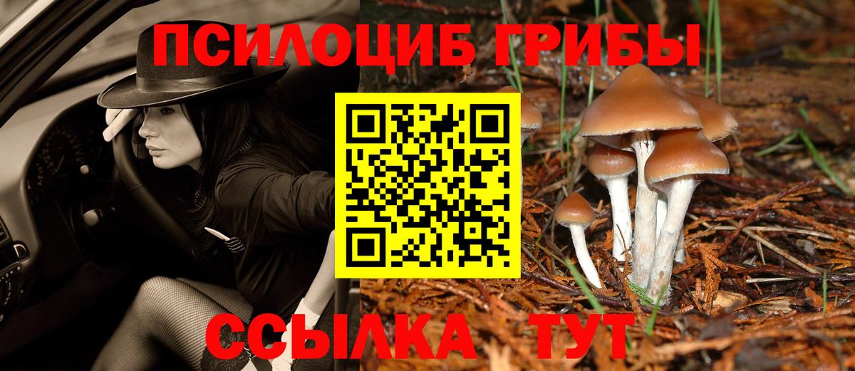 Псилоцибиновые грибы прущие грибы Черкесск